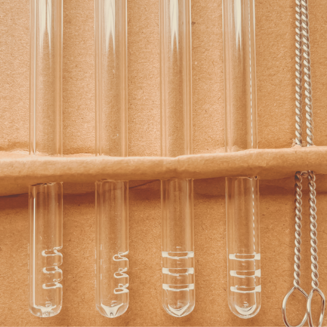 Sip E-Z Slotted Glass Straw Set